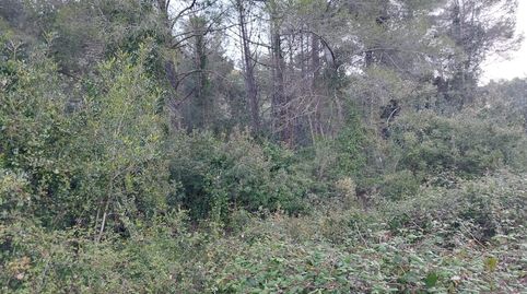 Terreno en pozo Adria Barx, immagine 5
