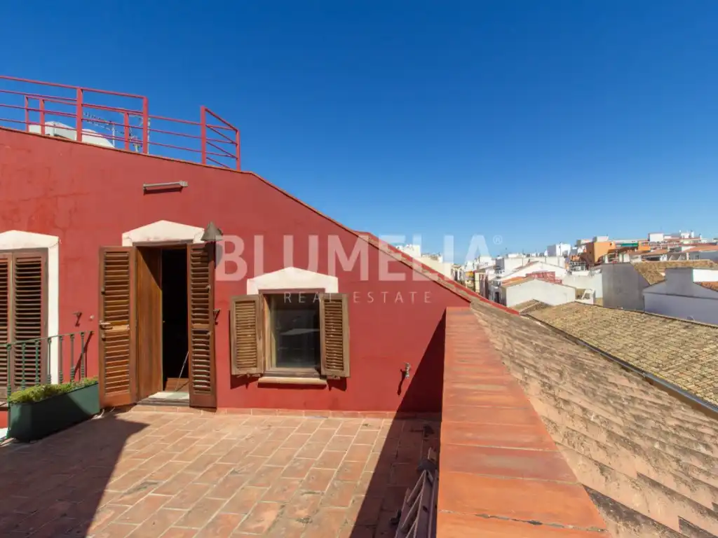 Casa con terraza en venta en Calle Historiador Palau, imagen 24