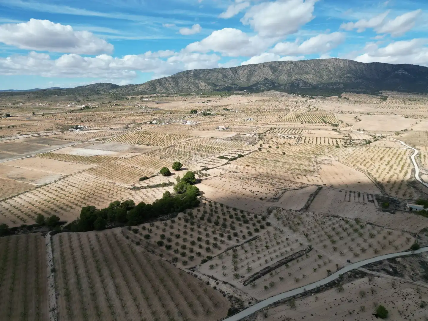Terreno residencial en venta en El Pinós / Pinoso, imagen 13