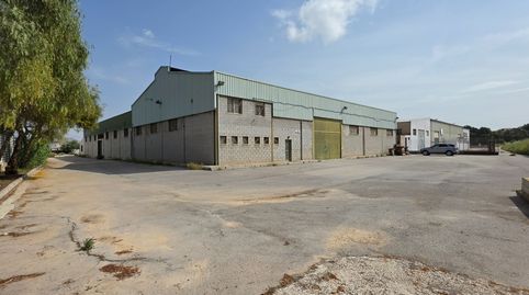 Foto 2 von Fabrikhallen zum Verkauf in Camino Entrepinos B, 26, La Coca - La Nia - Vistahermosa, Aspe