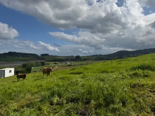 Residential land for sale in Castropol, imagen 13