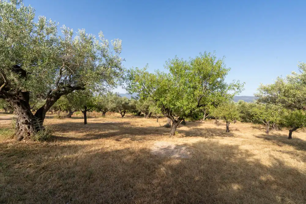 Finca rústica en venta en Aldover con Jardín privado, Terraza y Amueblado