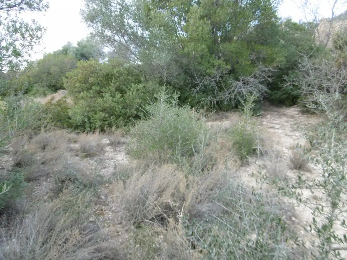 Casa rústica en venda a Vall d'Alba, imagen 7