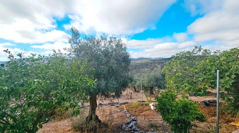 Photo 4 of House or chalet for sale in Carretera Cañaveral, 4, Fuentes de León, Badajoz