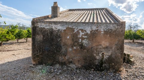 Finca rústica de regadío de mandarinos en Godall, immagine 3