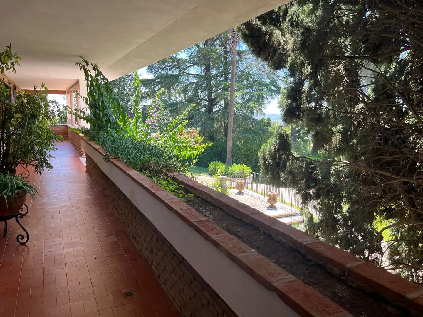 Garden of Houses for sale in Córdoba  with Private garden, Terrace and Storage room