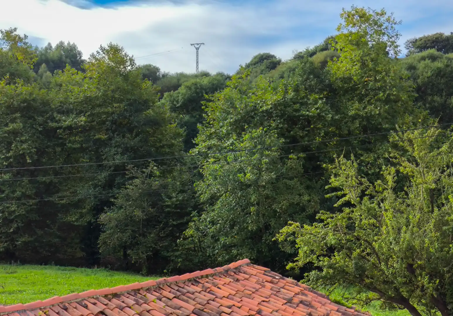 Garden of Detached homes for sale in Alfoz de Lloredo