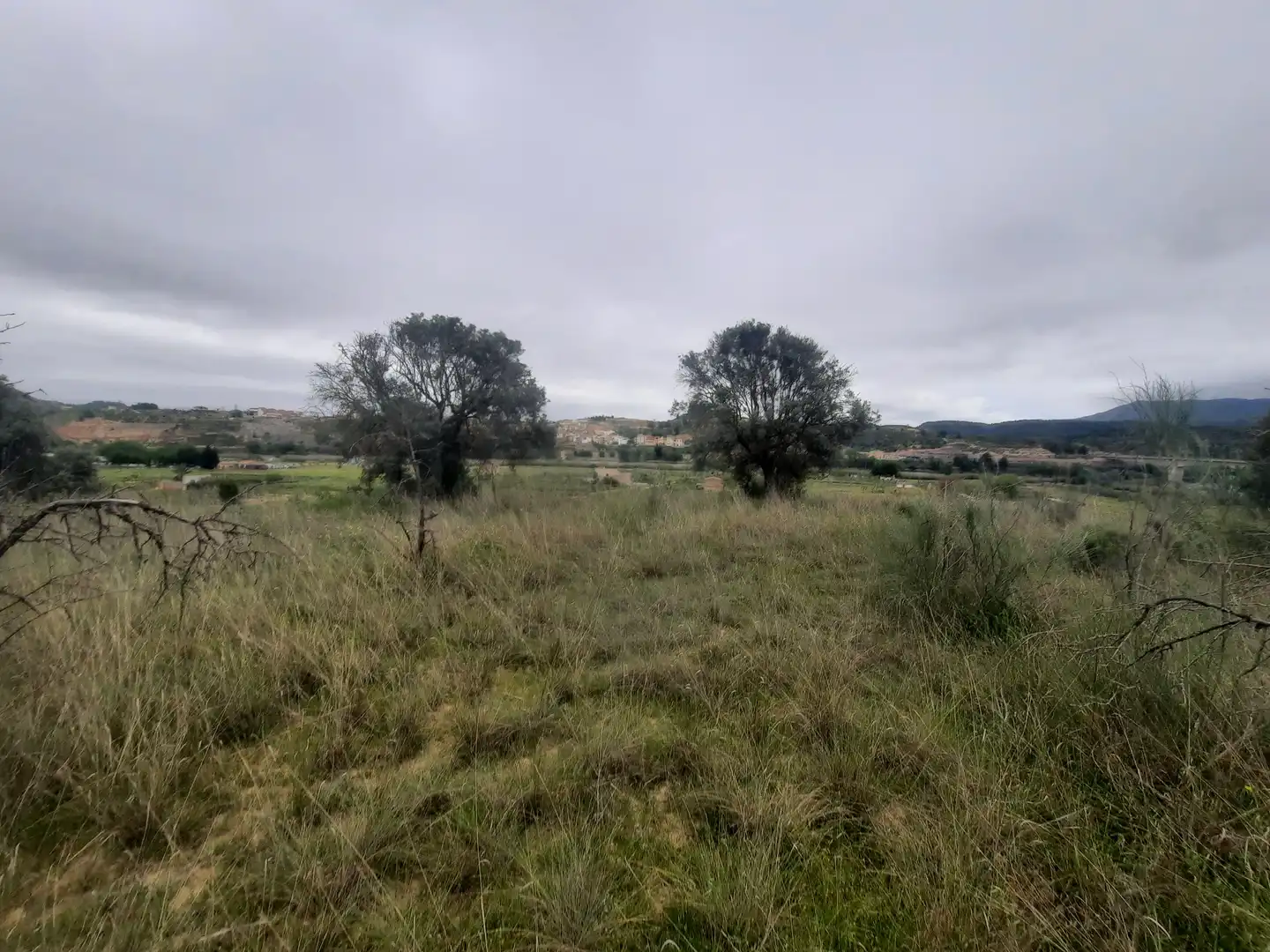 Residencial en venda en Riba-roja d'Ebre