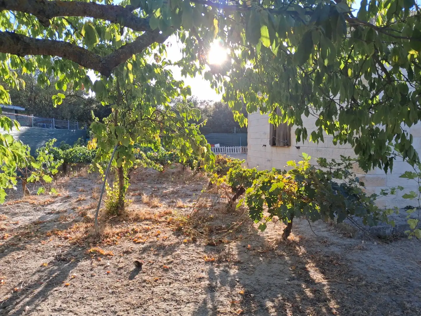 Terreny residencial en venda a Carretera de la Parrilla 14, imagen 26
