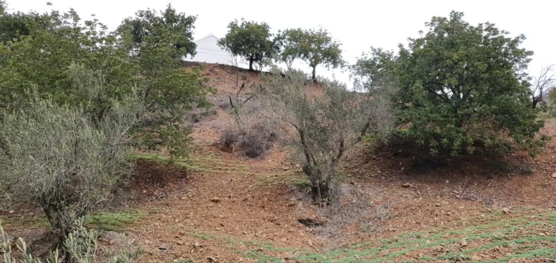 Terreni e lotti in vendita a Cártama pueblo, imagen 16