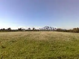 Casa o xalet en venda en Rojales amb Jardí privat, Terrassa i Piscina