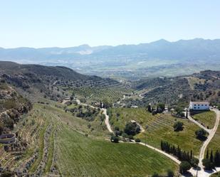 Vista exterior de Finca rústica en venda en Málaga Capital