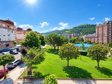 Appartement avec balcon à vendre à Calle Ataúlfo Argenta