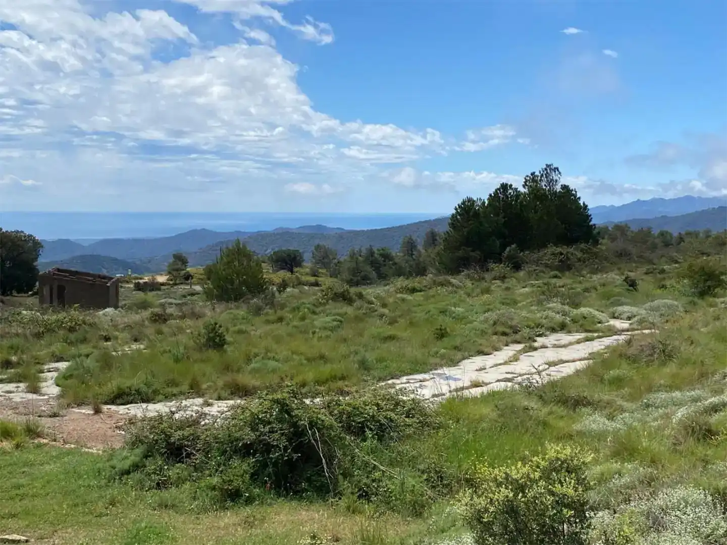 Finca rústica en venda en Arbolí amb Jardí privat
