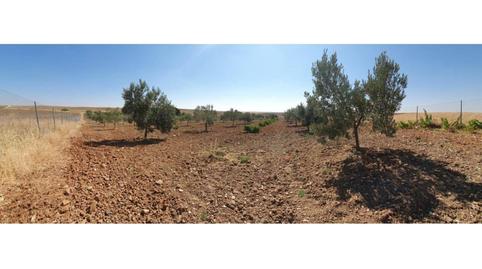 Photo 2 of Residential for sale in Casarrubios del Monte pueblo, Casarrubios del Monte