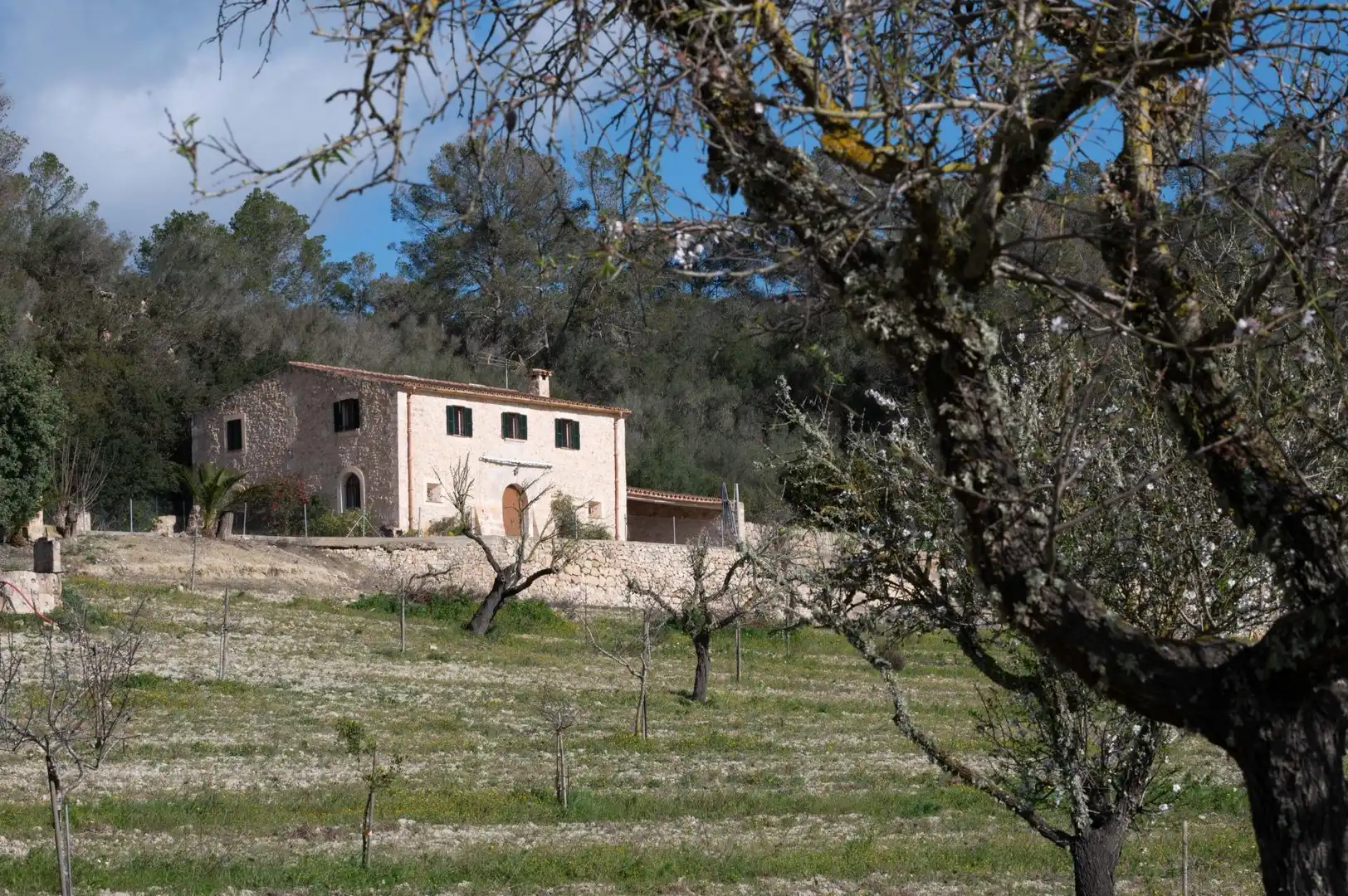 Casa rustica con giardino in vendita a Sineu, imagen 34