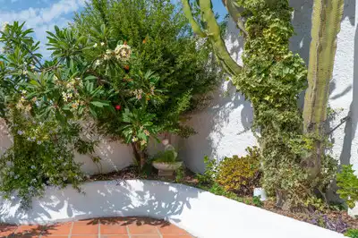 Jardín de Casa o chalet en venta en Torremolinos con Aire acondicionado, Calefacción y Jardín privado
