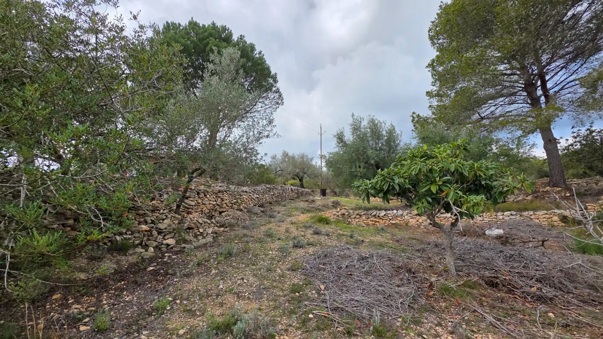 Maison rustique avec jardin à vendre à L'Ametlla de Mar pueblo, imagen 28