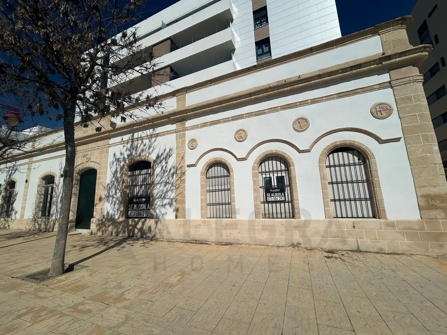 Local comercial de lloguer a Calle Calle Circo, imagen 3