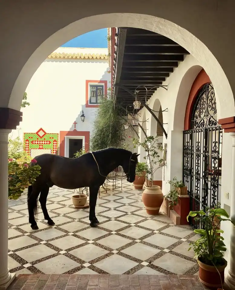 Country house with terrace for sale in Morón de la Frontera, imagen 55