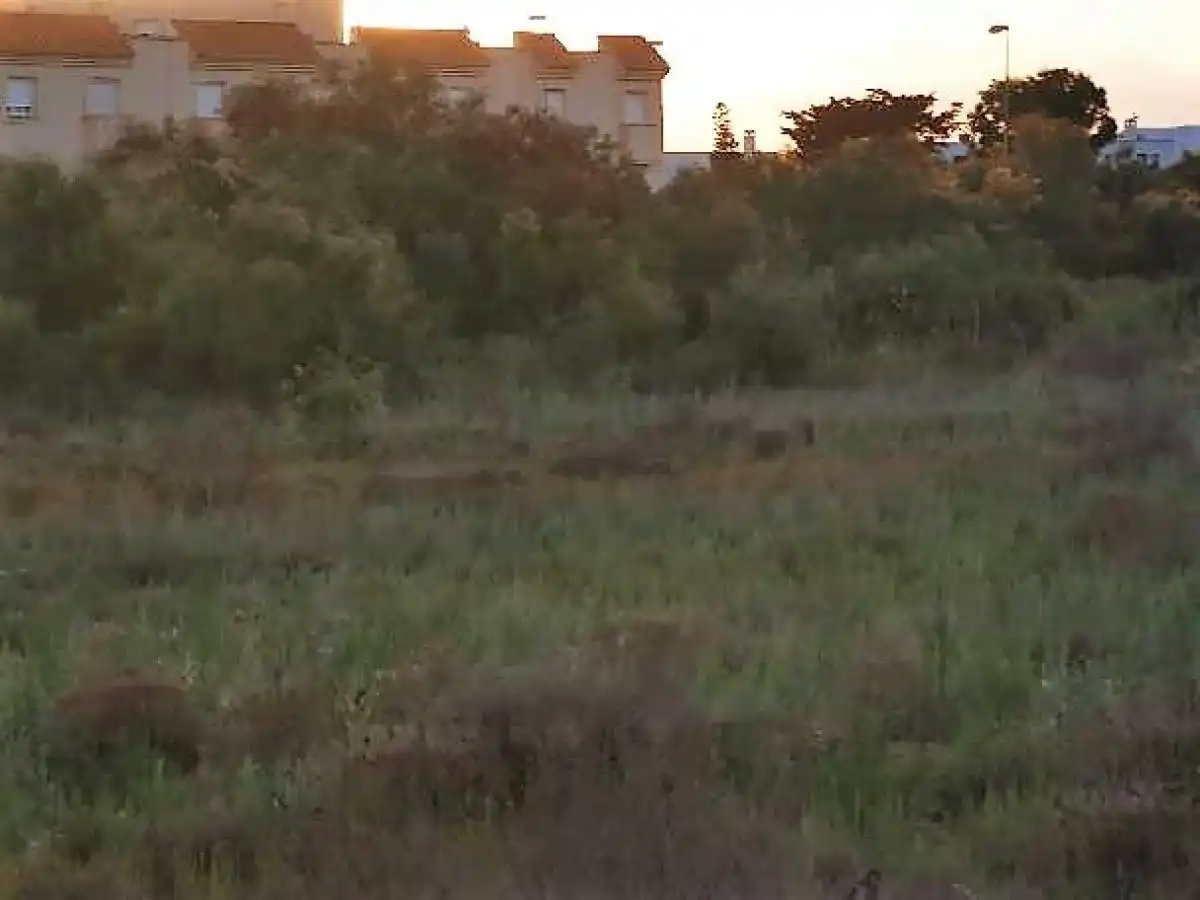 Terreno rustico in vendita a Camino LOS HUERTOS, imagen 37