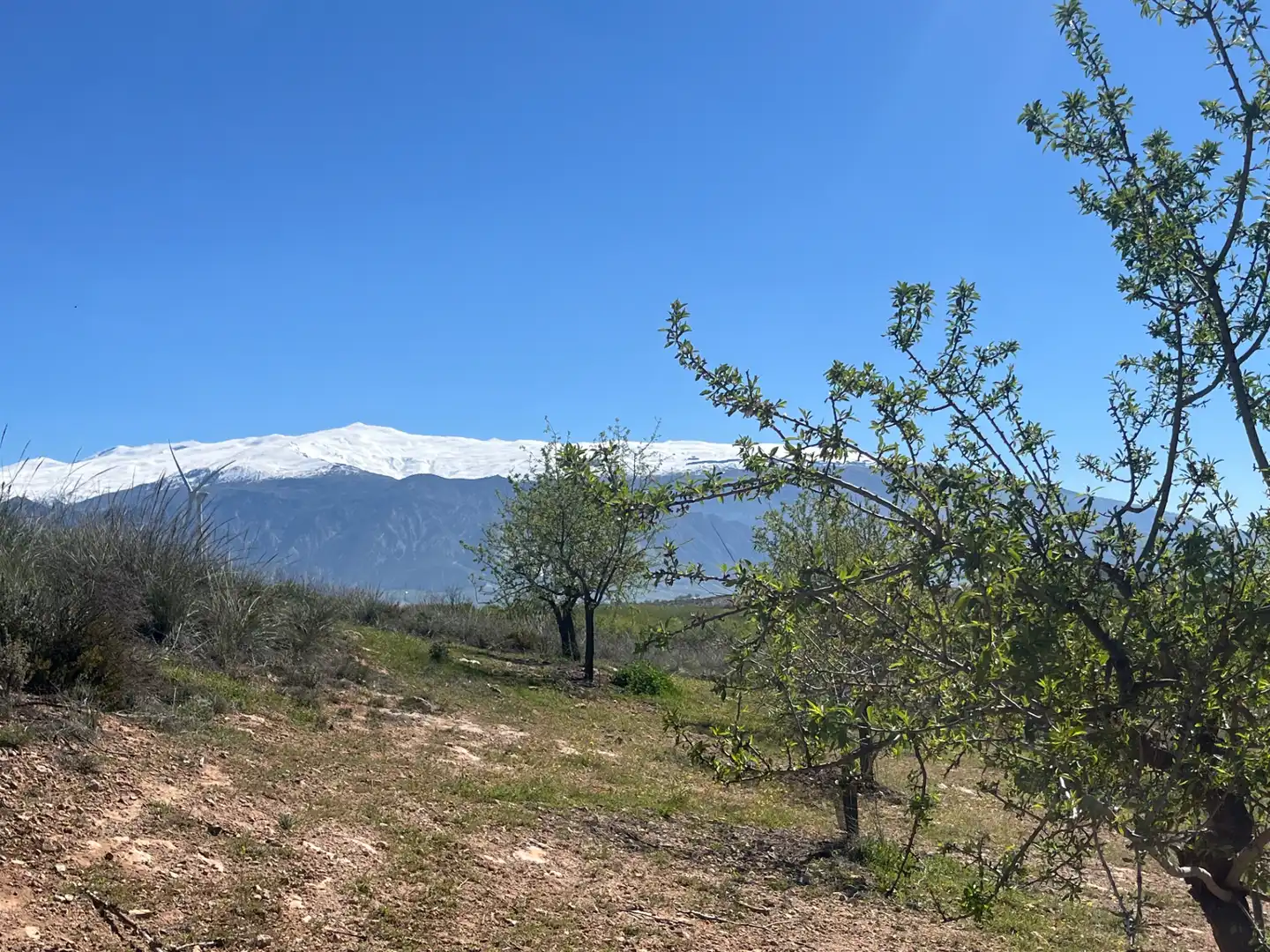 Rustikales Grundstück zum Verkauf in Camino de la Sierra, imagen 5