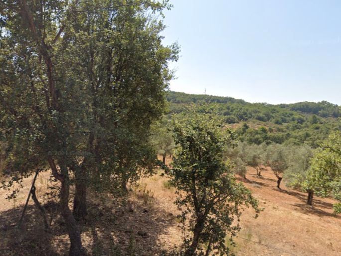 Land for sale in Villasbuenas de Gata