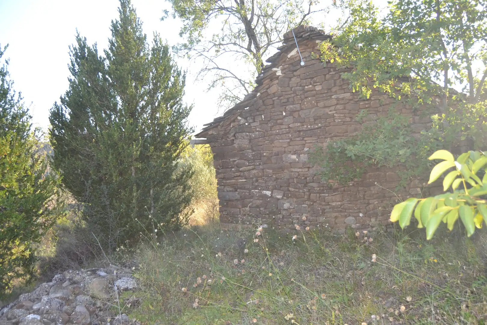 Terreni e lotti in vendita a Jasa, imagen 13