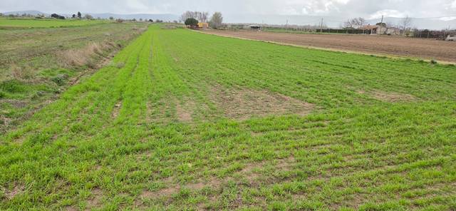 Terreno en Venta en Sonseca