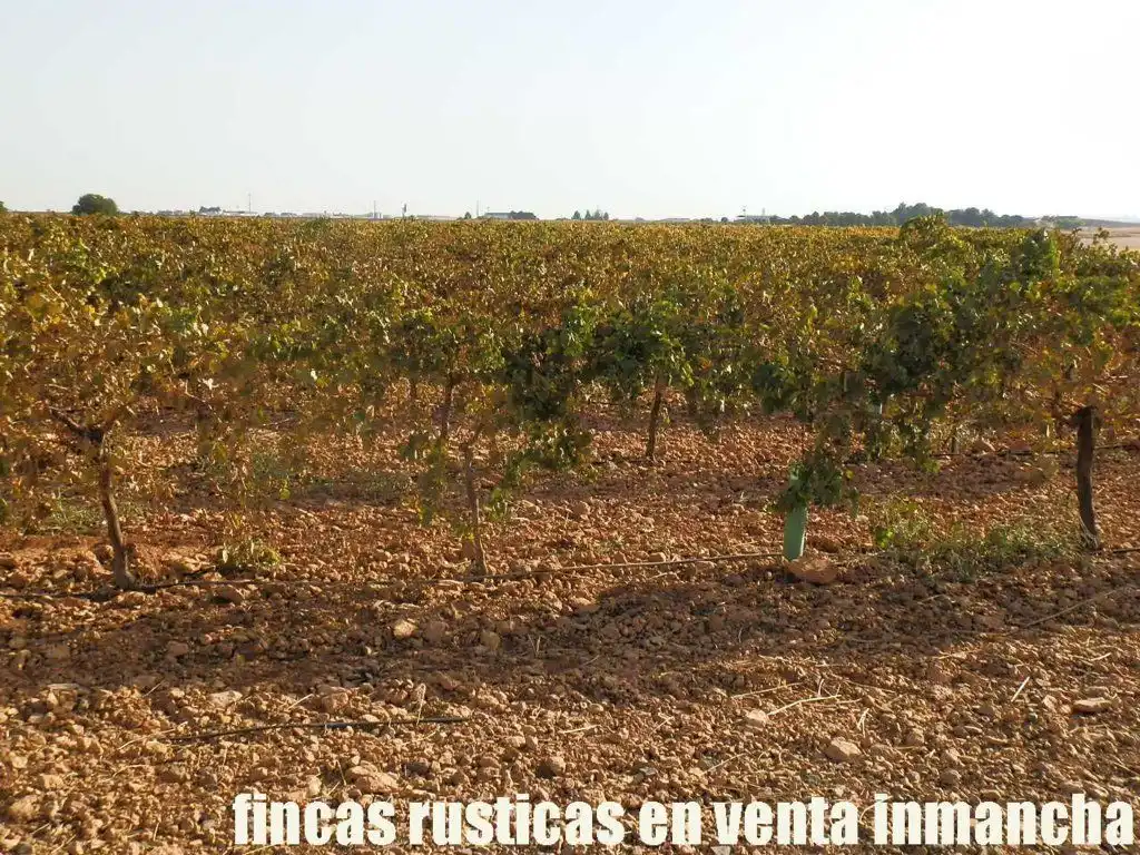 Terrenys i solars en venda a Almagro, imagen 12