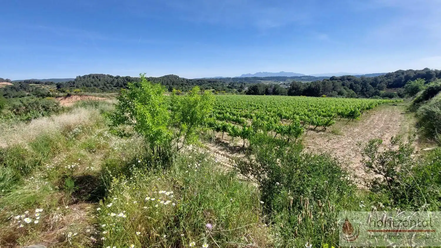 Terrenys i solars en venda a Sant Quintí de Mediona, imagen 2