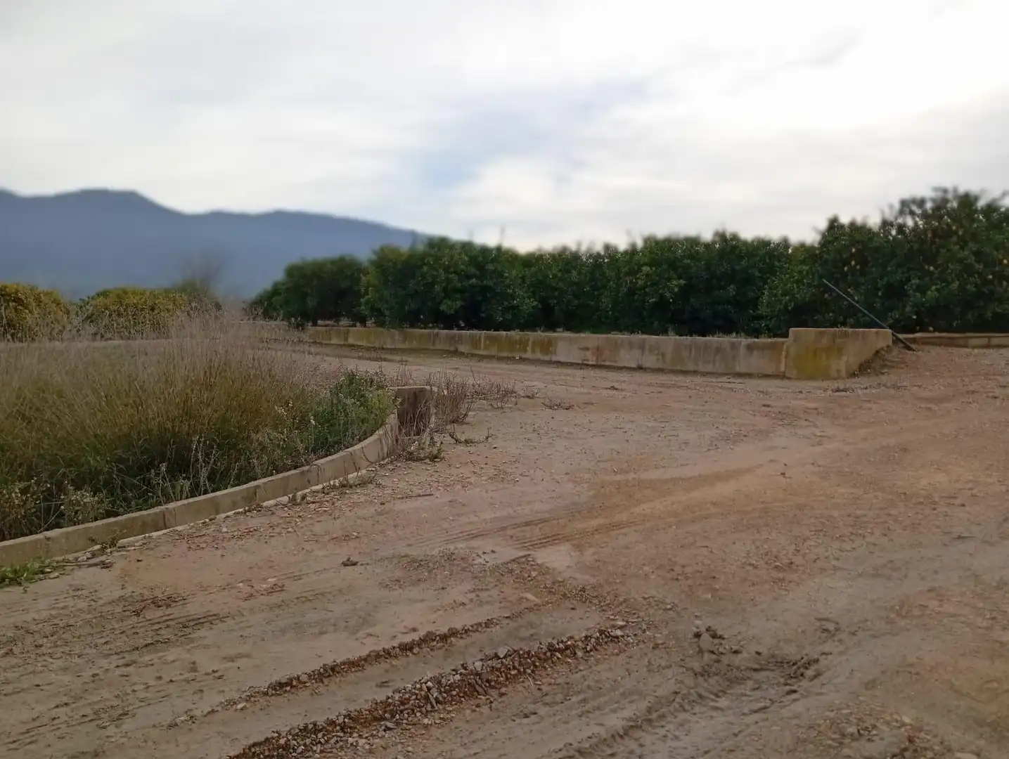 Terrain rustique à vendre à Polígono Paraje 82 EL ROMERAL, imagen 12