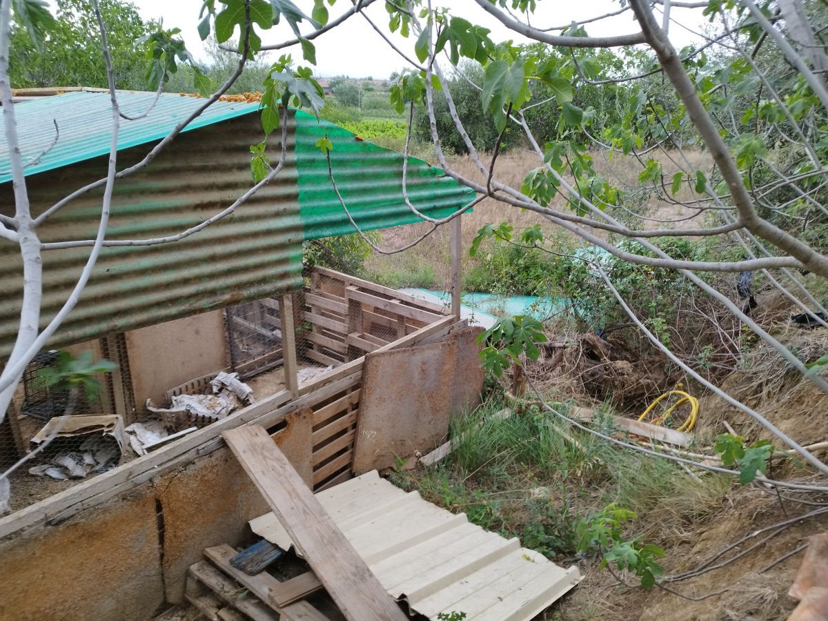 Vista exterior de Finca rústica en venda en Torrefarrera