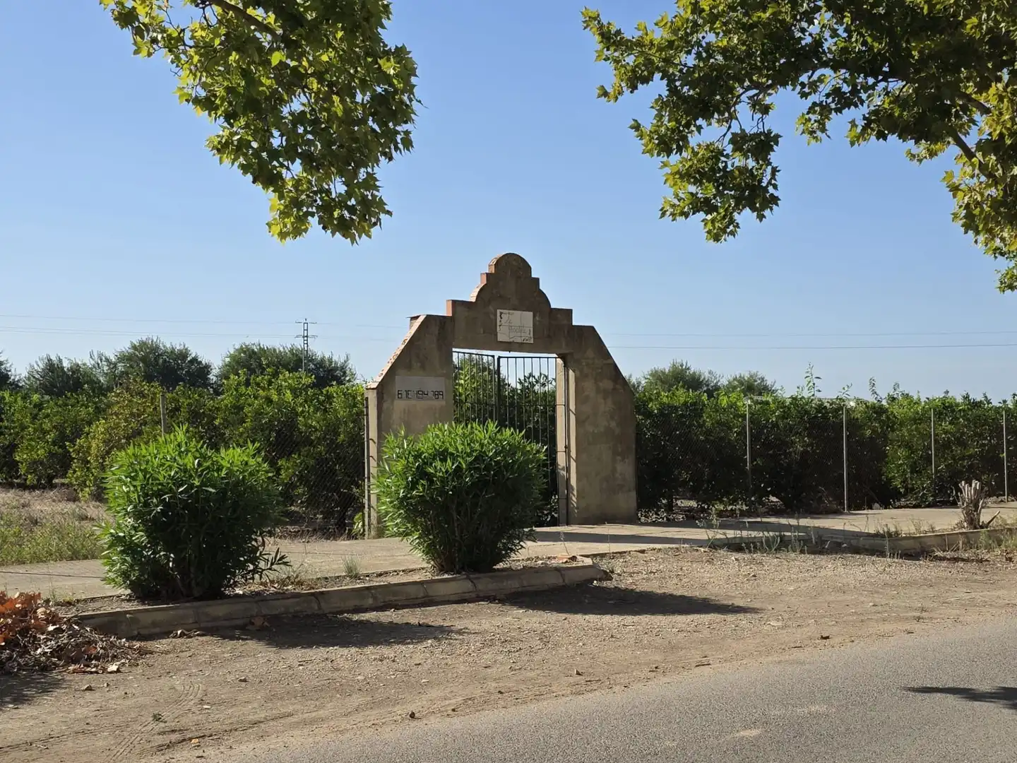 Terrain rustique à vendre à Albalat de la Ribera, imagen 7