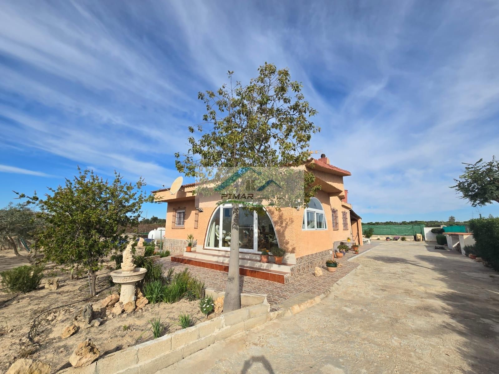 Vista exterior de Casa o xalet en venda en Elche / Elx amb Calefacció i Piscina