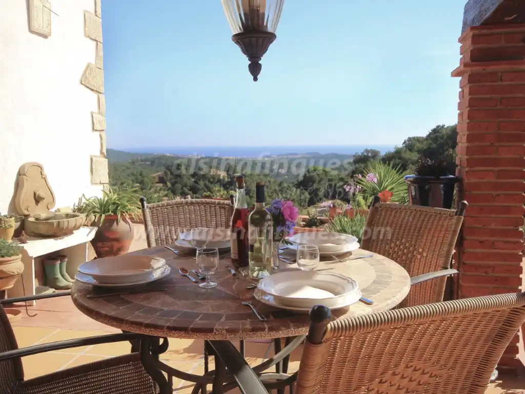 Villa mit Pool zum Verkauf in Camí de la Plana, imagen 7