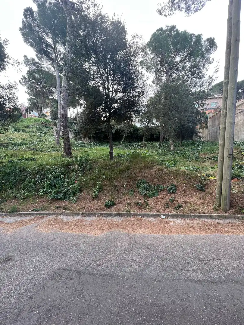 Grundstücke und Bauplätze zum Verkauf in Mas Mora - Sant Daniel, imagen 2