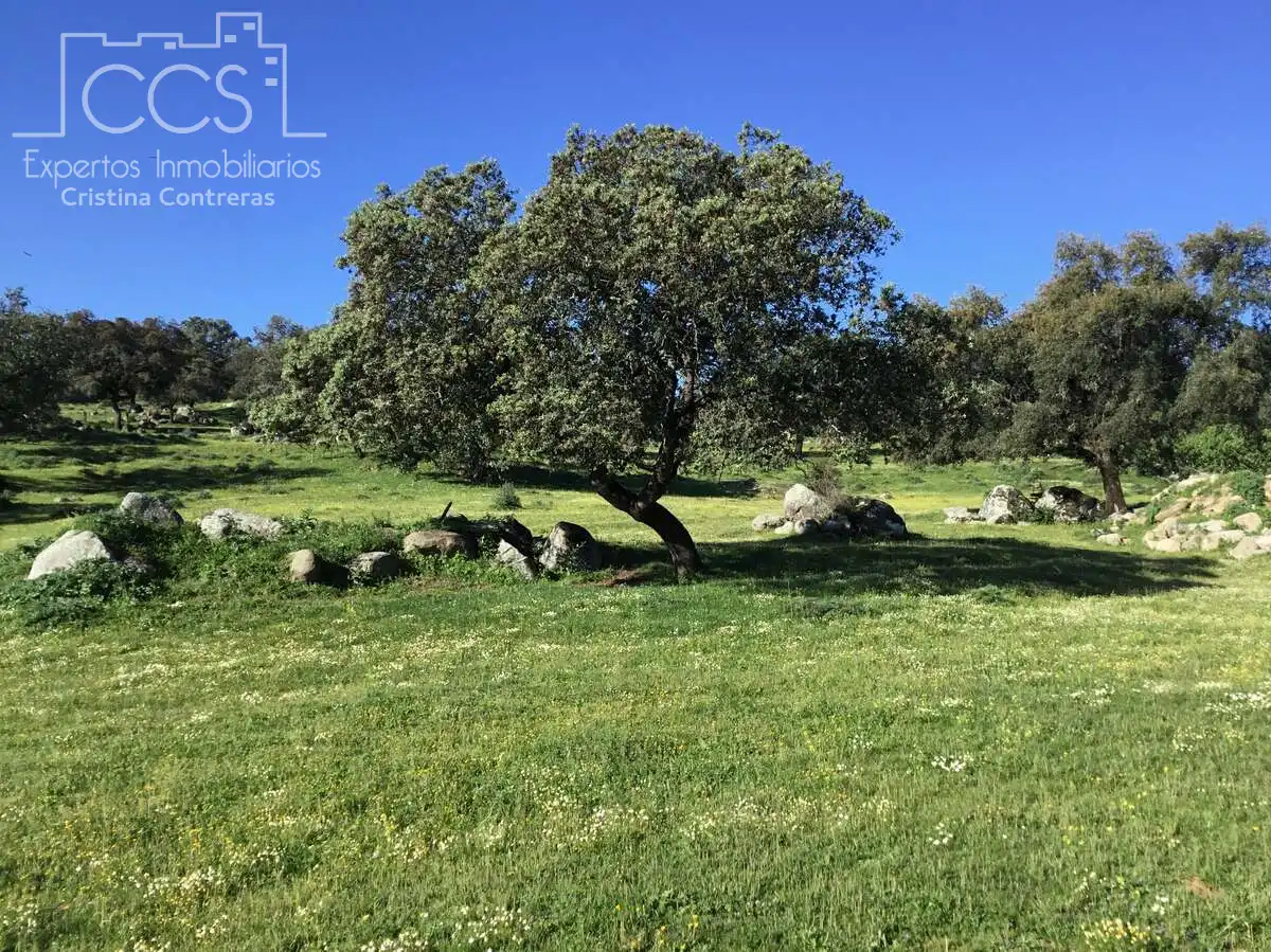 Finca rústica en venda en El Pedroso amb Traster, Piscina i Moblat