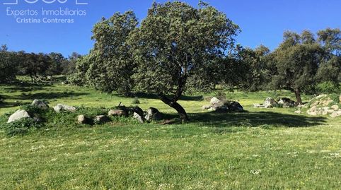 Foto 3 de Finca rústica en venda a El Pedroso, Sevilla
