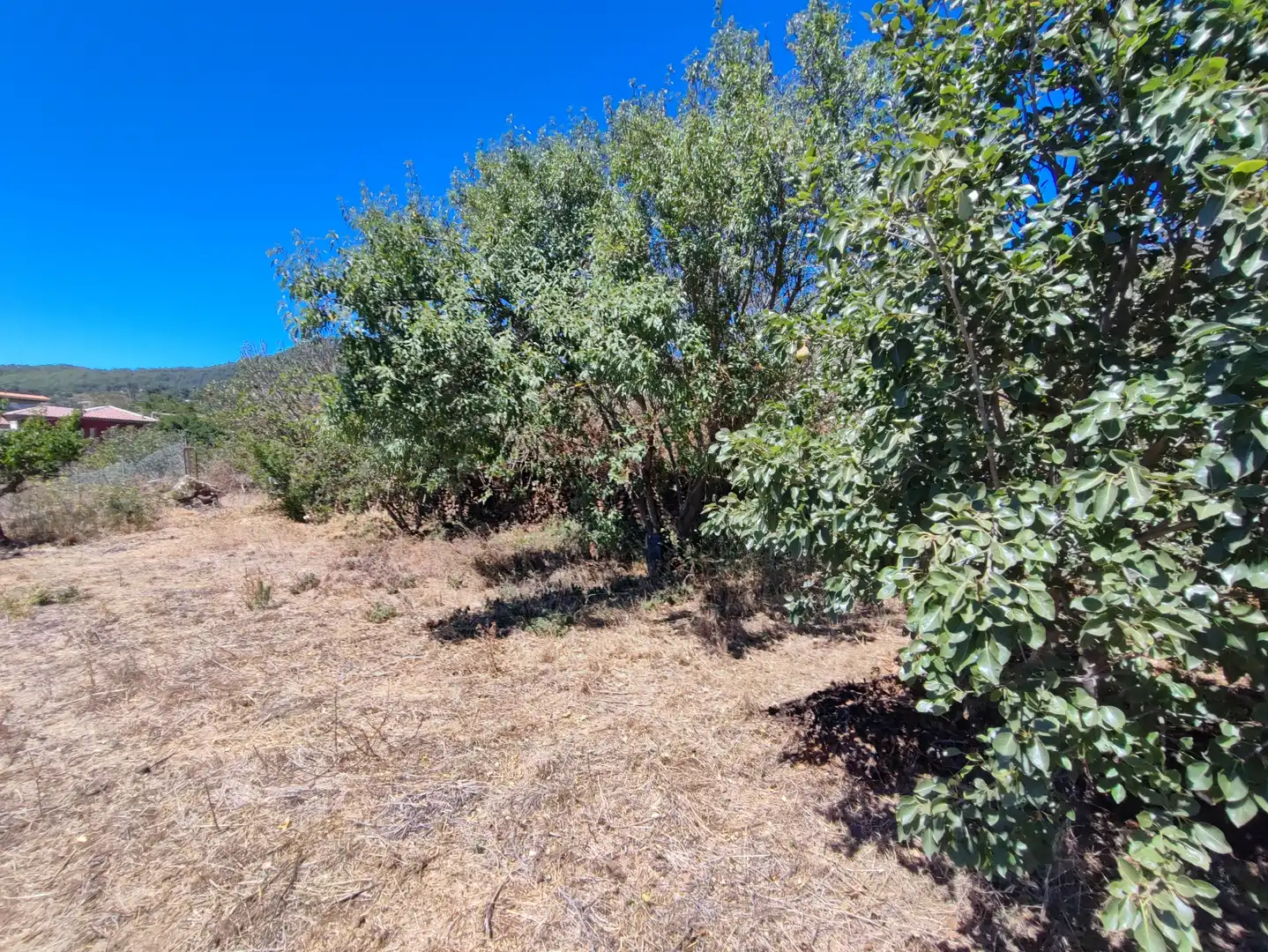 Finca rústica en venta en El Rosario con Jardín privado, Terraza y Trastero