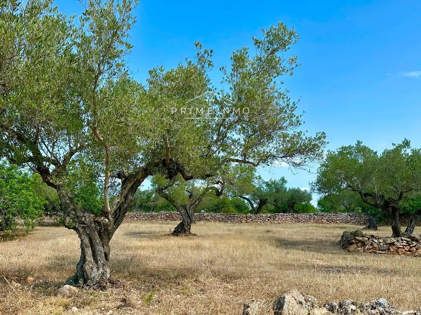 Casa rústica en venta en El Perelló, imagen 28