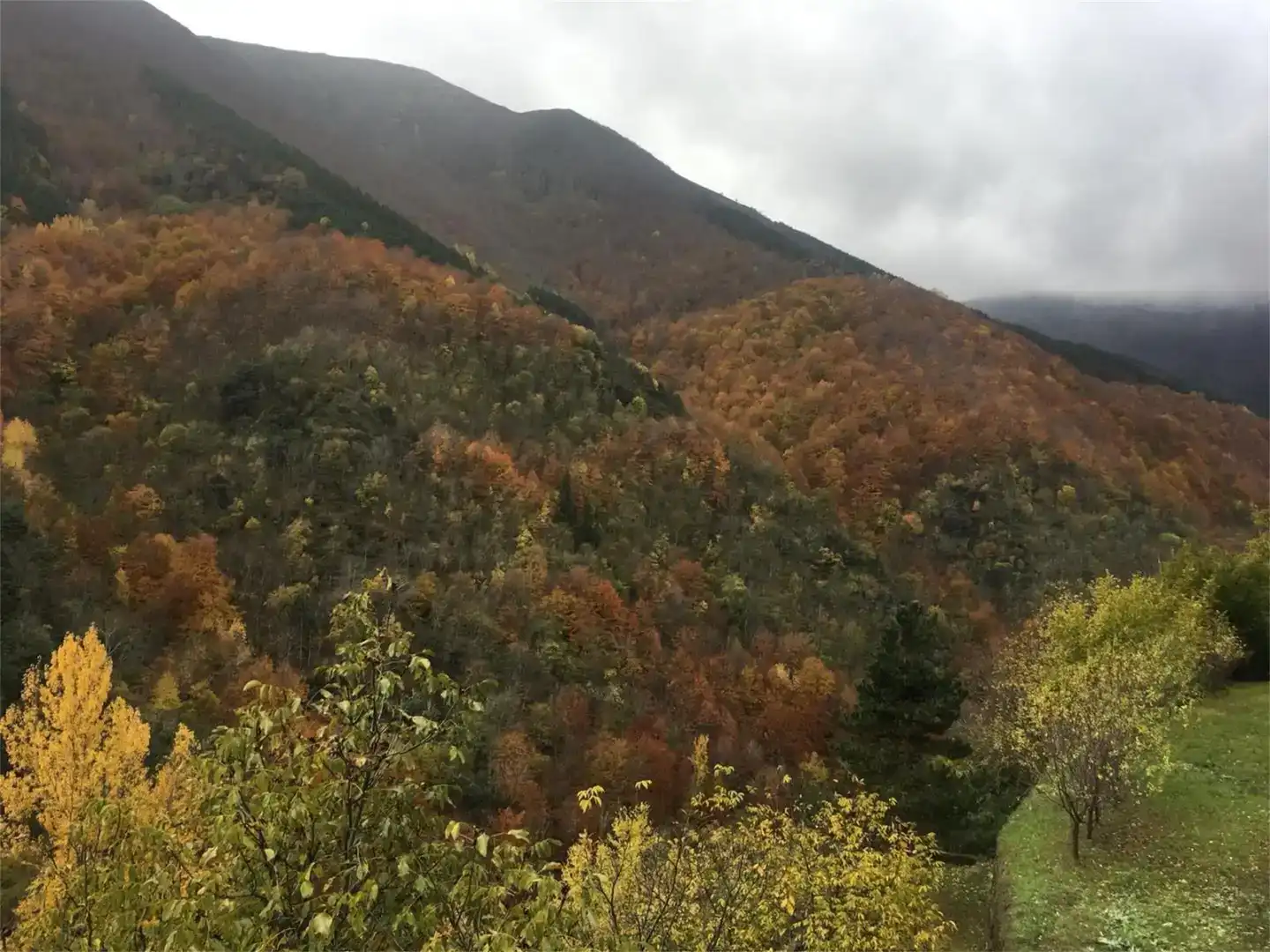 Vista exterior de Terreno en venta en Viniegra de Abajo
