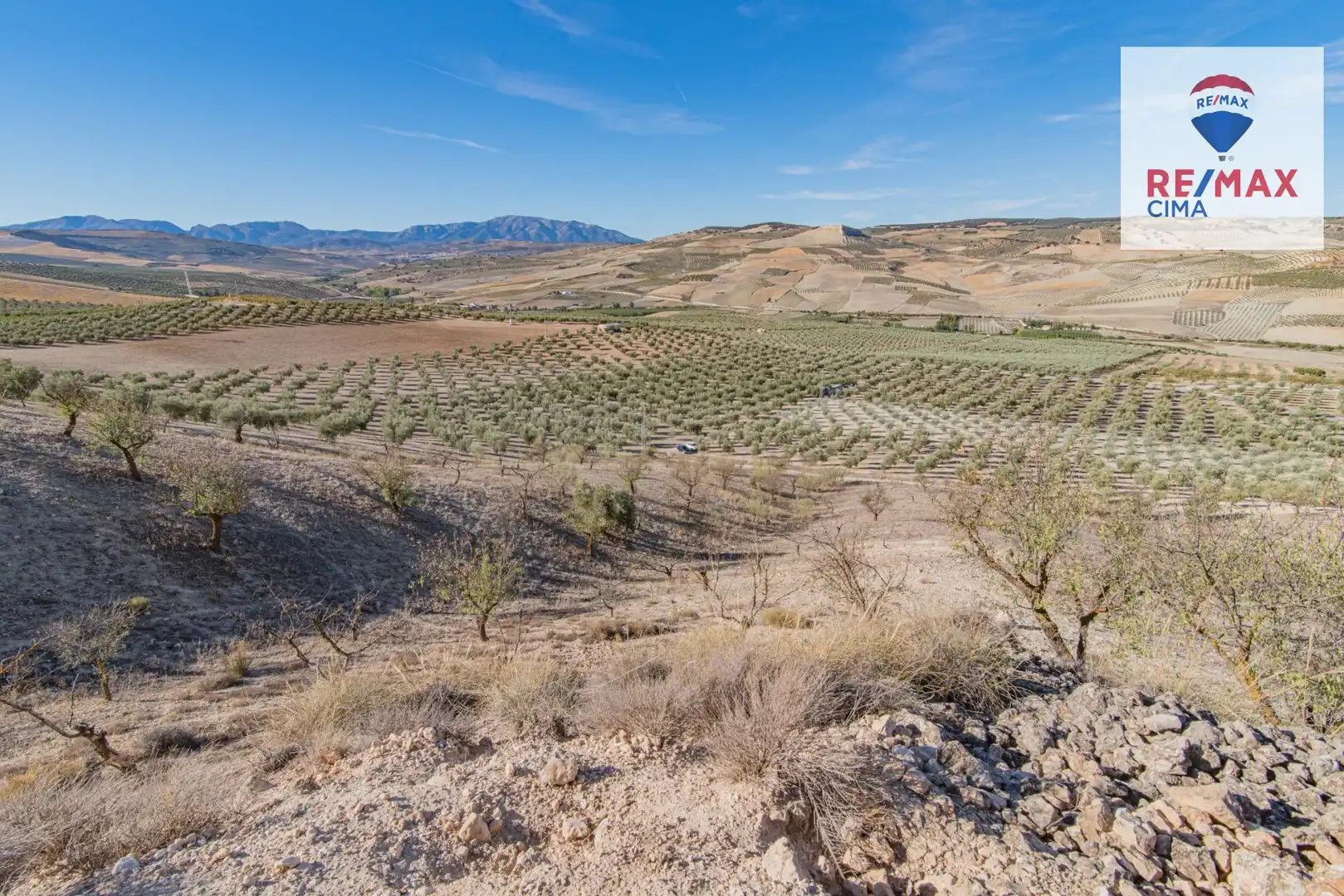 Terreno en venta en Santa Cruz del Comercio