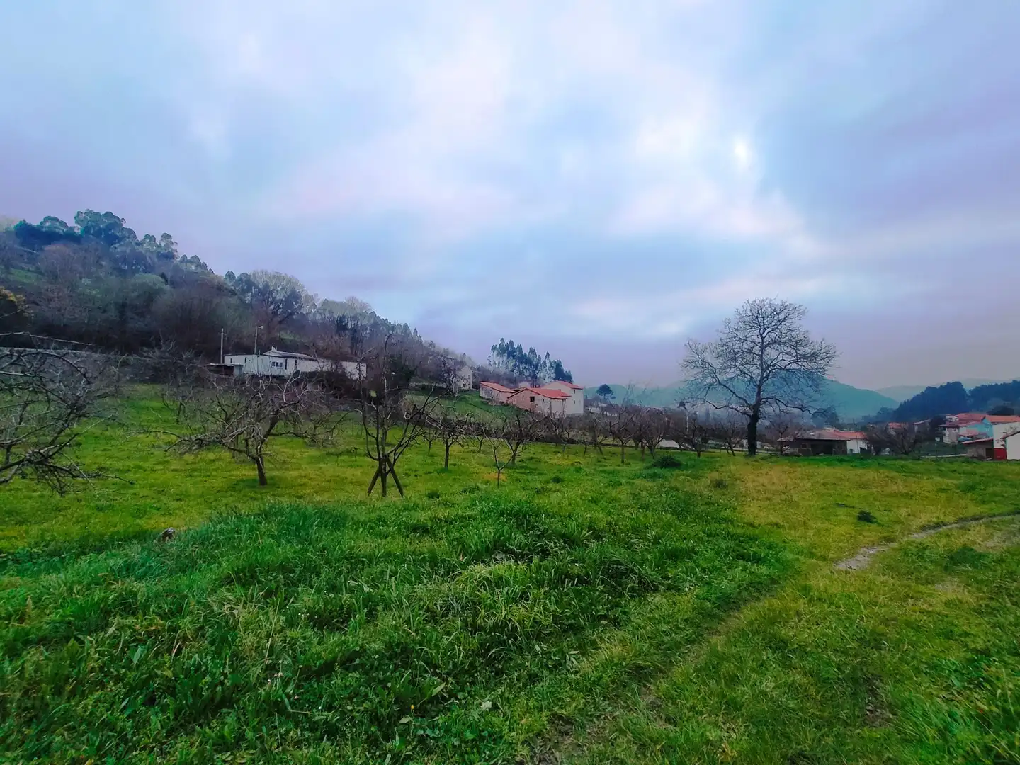 Terreni e lotti in vendita a Pravia, imagen 4