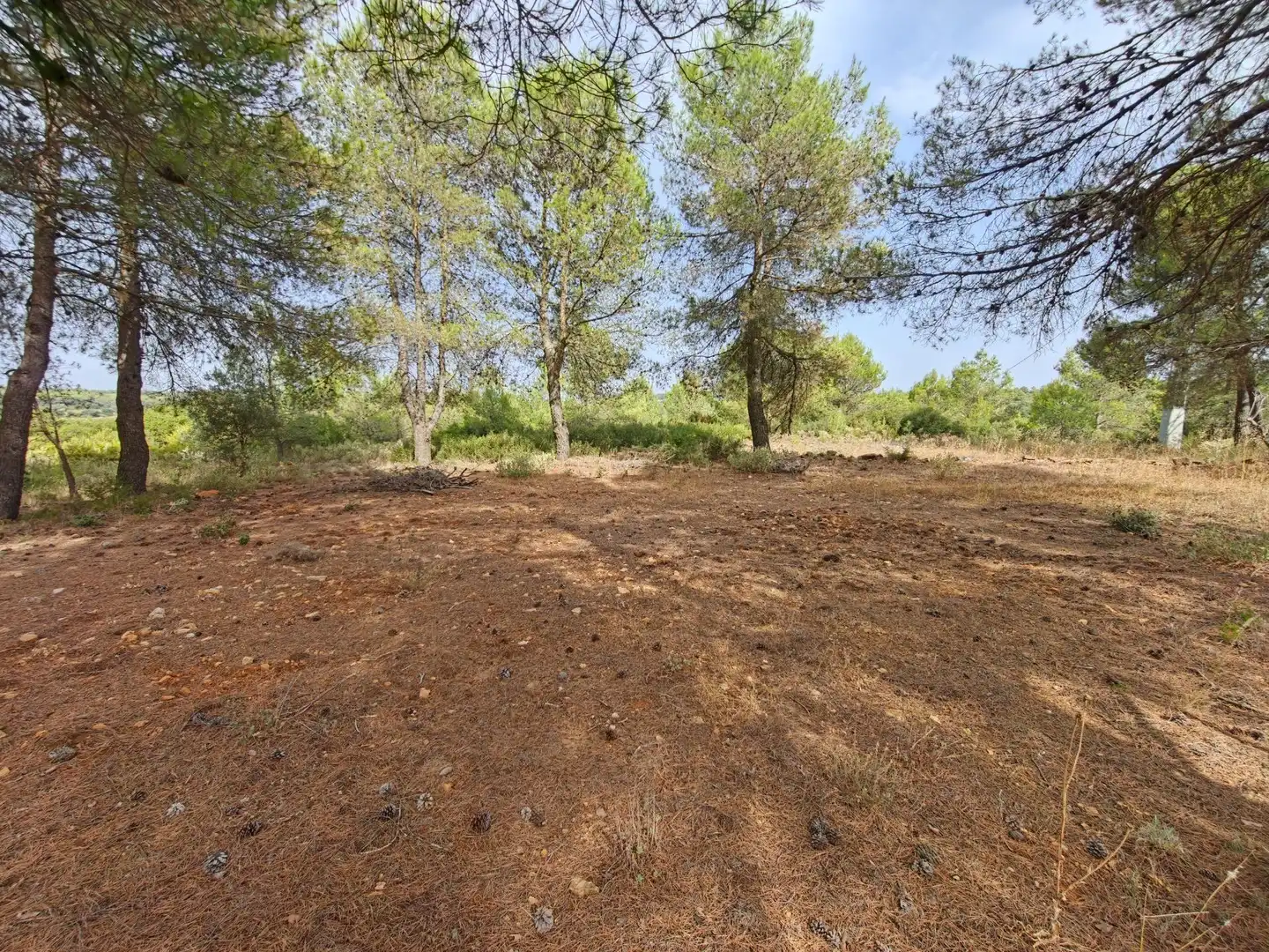 Villa con giardino in vendita a NUMERO 25 74, imagen 32