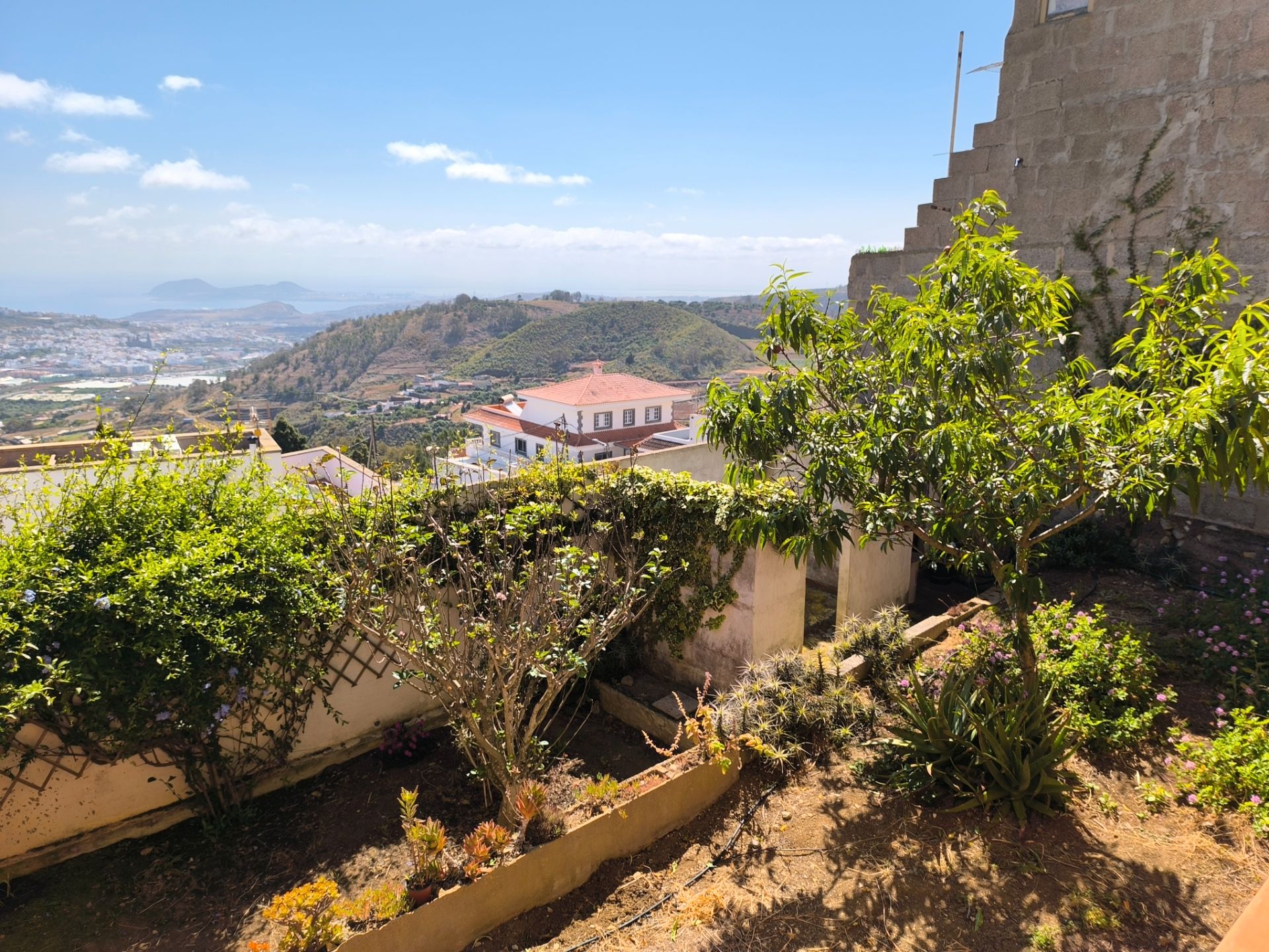 Exterior view of Flat for sale in Firgas  with Private garden