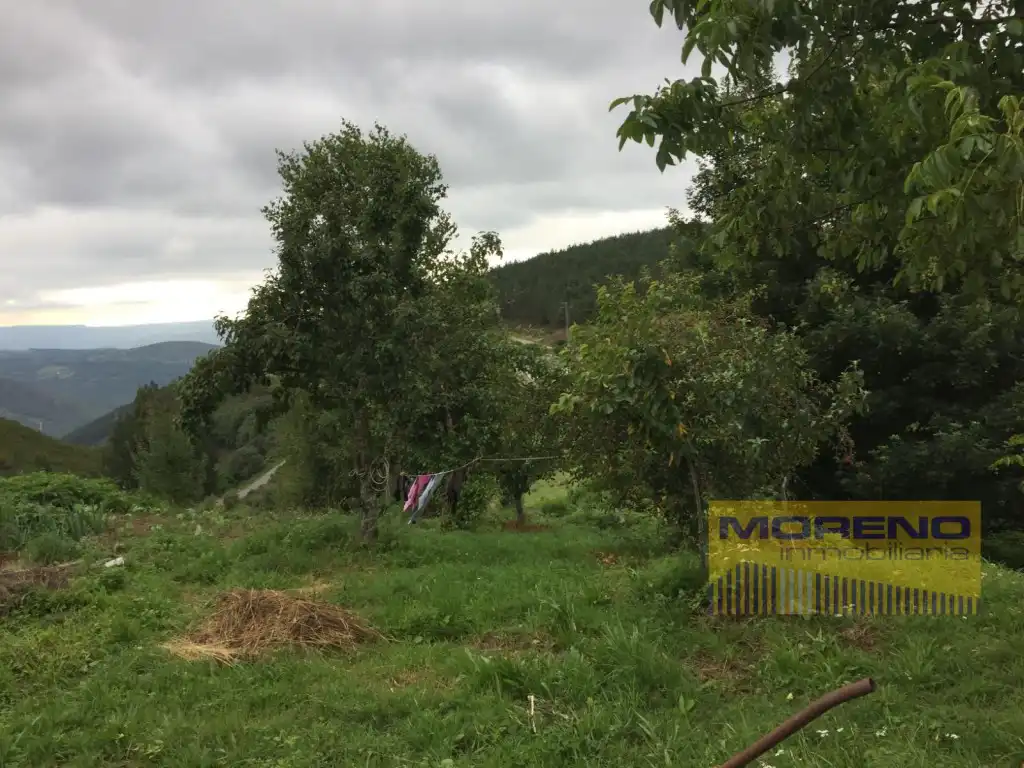 Casa o xalet en venda en Navia de Suarna amb Terrassa