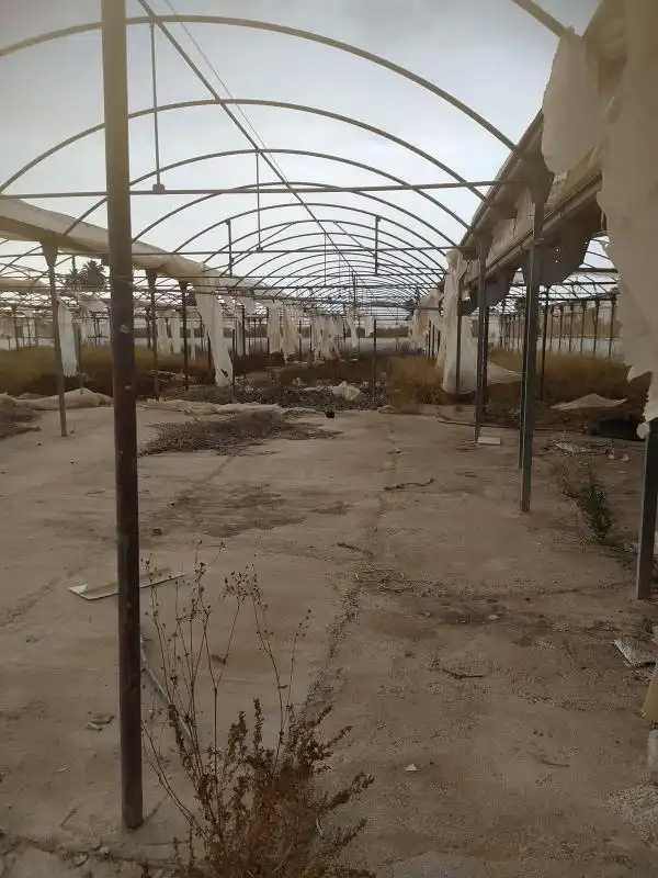 Finca rústica en venta en Elche / Elx con Calefacción