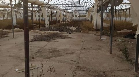 Foto 2 de Finca rústica en venta en Asprella, La Foia - Daimés - Asprella, Elche / Elx
