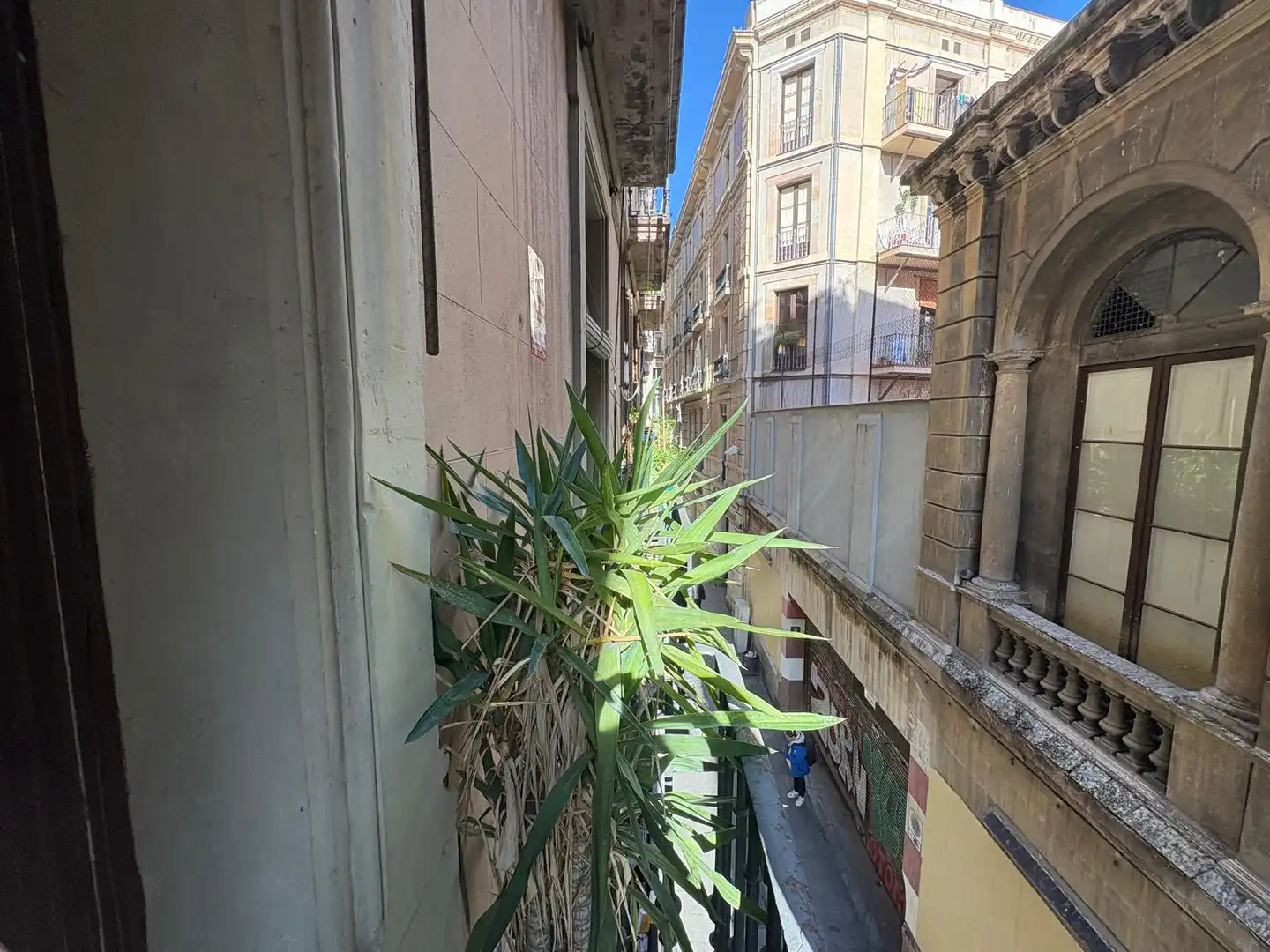 Pis amb terrassa en venda a Ciutat Vella, imagen 13